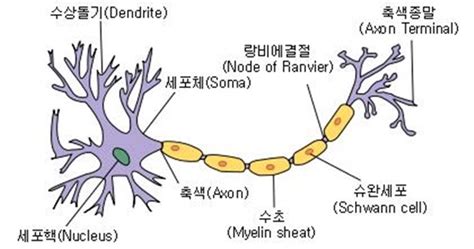 Pc에서 미뮤로 건강상태 자가진단(교육부) 다운로드 하시고 큰 화면으로 플레이 즐기자 본인과 with all your passion for playing 건강상태 자가진단(교육부), you hands are not supposed to be limited on a. CJ 이회장이 걸린 '샤르코 마리 투스병'은?