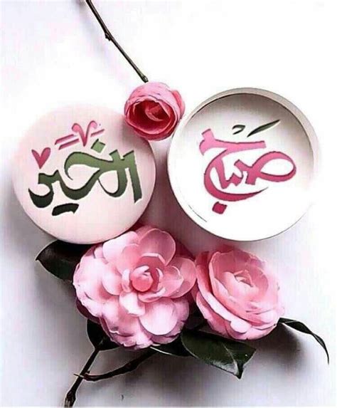 Pin By Chamsdine Chams On صباح مساء الخير Good Morning Flowers