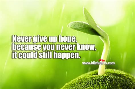 Never Give Up Hope Because You Never Know It Could Still Happen