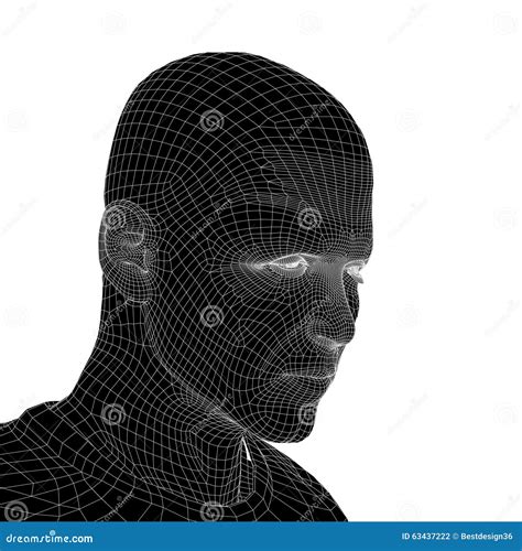 Conceptual 3d Wireframe Or Mesh Human Male And Female Head Stock