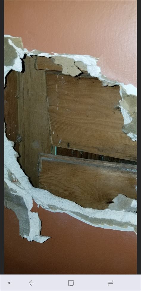 What is going on behind my drywall? : HomeImprovement