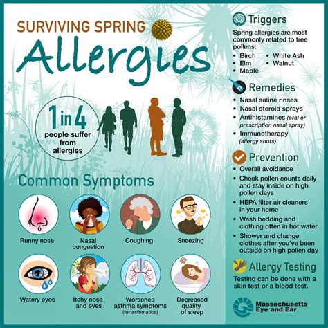 Spring Allergies Survival Guide Focus A Health Blog From Mass Eye And Ear