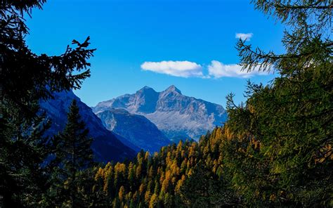 Download Wallpaper 3840x2400 Mountains Trees Branches Overview