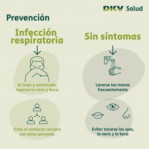 Ideas De Sistema Respiratorio Para Ni Os Sistema Respiratorio Para