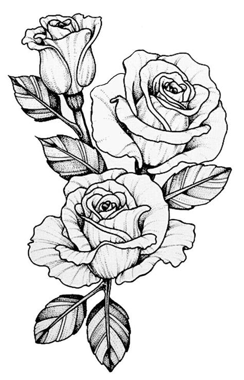 The best selection of royalty free rose tattoo art vector art, graphics and stock illustrations. Pin by Miguelita Moore on Rose drawings | Beautiful flower ...