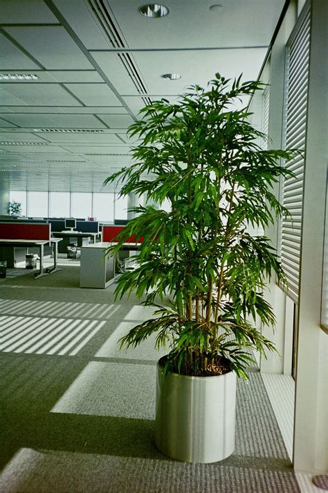 Artificial Plants For Offices Office Landscapes