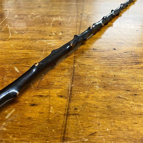 Antique Blackthorn Shillelagh Walking Stick Cane Early 1900s Mad
