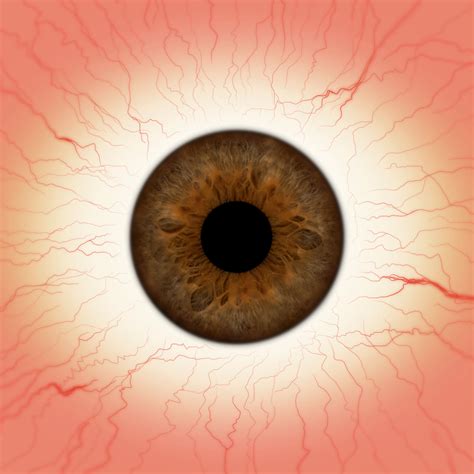 Brown Eye Texture Textures Pinterest Anatomy Zbrush And