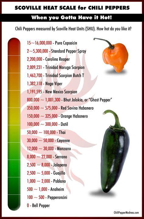 Scoville Scale Hot Sauce