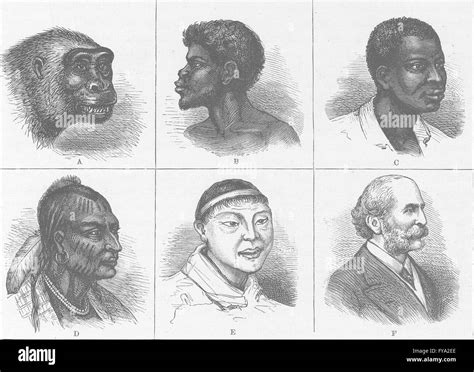 PORTRAITS Types Of Heads Antique Print 1890 Stock Photo Alamy