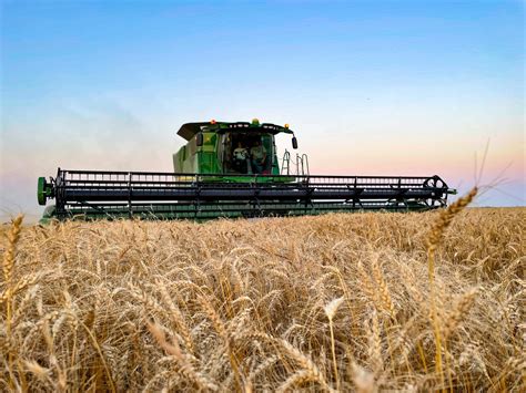 Oklahoma Farm Report Plains Grains Sees Oklahoma Wheat Harvest Two
