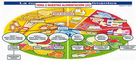 Tema 2 Nuestra Alimentación Ii Mapa Conceptual Planeta Educarex