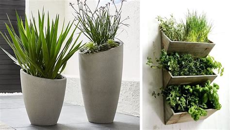 Si quieres, puedes agregar plantas y macetas pero siempre a altura para. Plantas de interior en decoración; tipos y consejos para casa