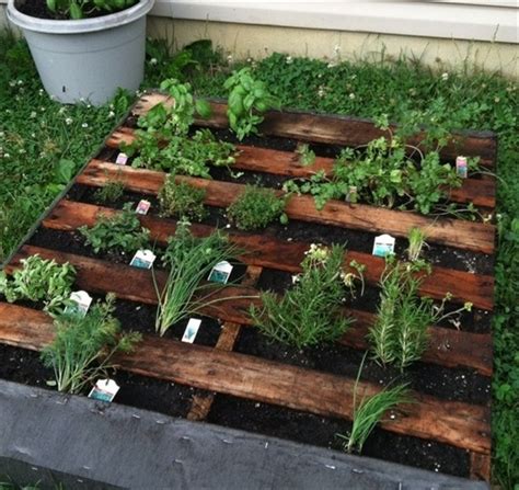 It is also a way of conserving rare, endangered and. Pallet Herb Garden a Source of Natural Remedy | Pallet ...