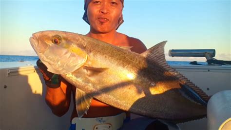 Greater Amberjack By A Rookie Angler Youtube