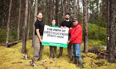 Indigenous Communitys Fight To Save Canadas Boreal Forest Ecowatch