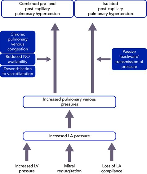 Pathophysiology Of Pulmonary Hypertension In Heart Failure Download