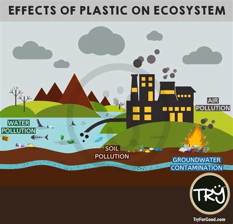 Effects Of Plastic On Ecosystem Try For Good