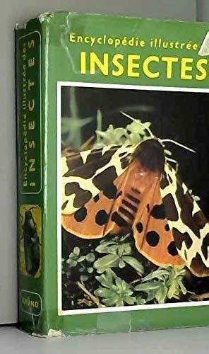 Encyclopédie Illustrée Des Insectes Il A été écrit Par Quelquun Qui