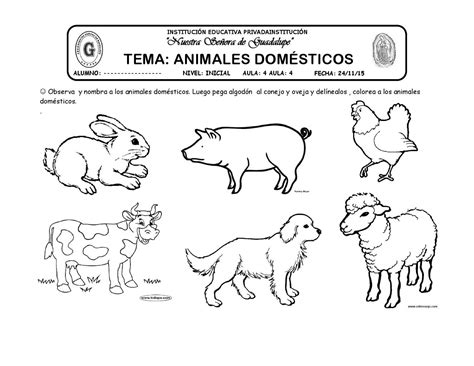 Tema Animales Domesticos By Katy Hormiguita Issuu