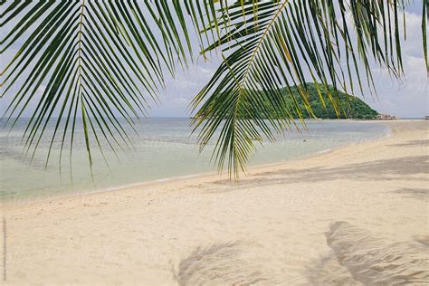 Tropical Beach With Palm Tree And Distant Island Thailand Del