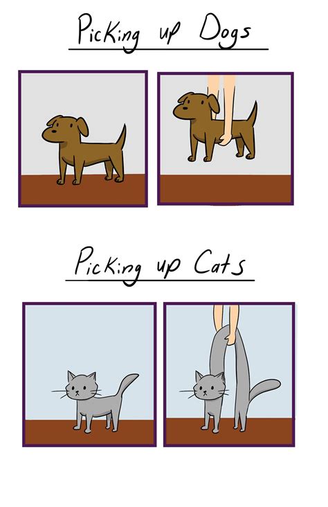 Picking Up Dogs Vs Cats Ifttt2wehvup Cute Animal Memes Funny