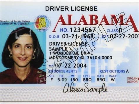Alabama Drivers License Template