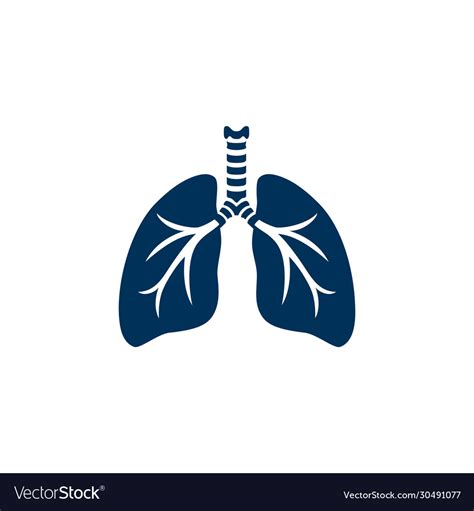 Human Lungs Silhouette Royalty Free Vector Image