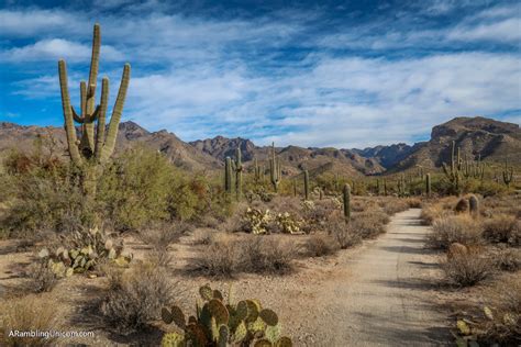 Sabino Canyon Trails Five Stunning Hikes Near Tucson