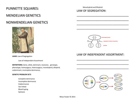 How to solve genetics problems. Genetics: Punnett Squares, Mendel, Non-Mendelian Student ...