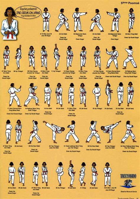 Taekwondo Vocabulary Artofit