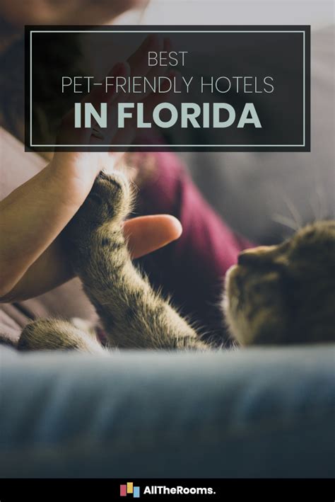 6 Best Pet Friendly Hotels In Florida Alltherooms The Vacation