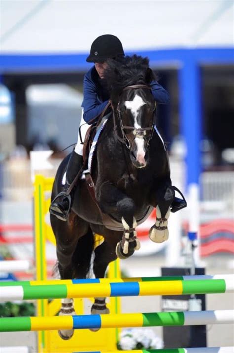 Pin On Showjumping And Equestrian