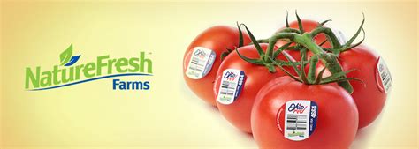 Naturefresh Farms To Unveil Its New Ohiored Tomato At