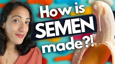 a urologist explains what is semen made of rena malik m d