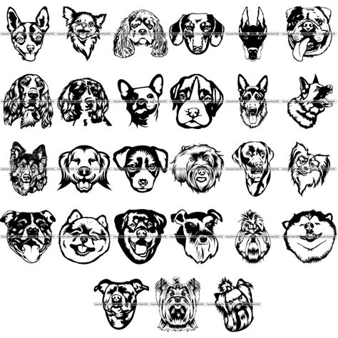 27 Dog Breed Head Face Designs Super Value Bundle Clipart Svg Clipart Svg