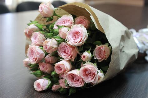صور اجمل باقة ورد الورد قادر يخطف القلب اعتذار و اسف