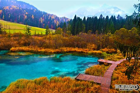 It is the source of the sava dolinka river, a tributary of the danube. Stanko Mravljak Foto Blog: JEZERO ZELENCI - DRUGI IZVIR ...