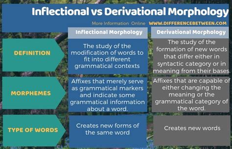 Inflectional And Derivational Morphemes