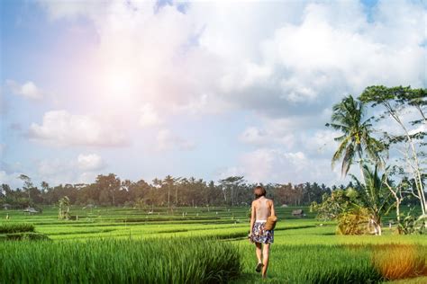Free Images Sky Paddy Field Nature Grassland Cloud Agriculture
