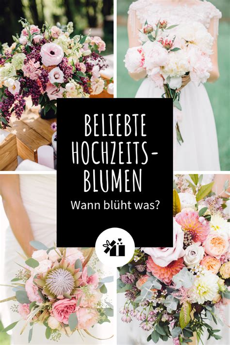 Blumen bergmann in bolligen und ittigen wir haben für jeden anlass das richtige angebot. Beliebte Hochzeitsblumen für Brautstrauß und Deko: Wann ...