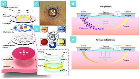 A Schematic Illustration Of An Epidermal Microfluidic Sweat Monitoring