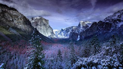 Mountain Lake Forest Mountain Landscape Saint Mary Lake Rocky