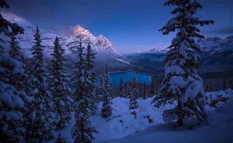 Canadian Rockies Winter Peyto Lake 4k Frozen Banff National Park
