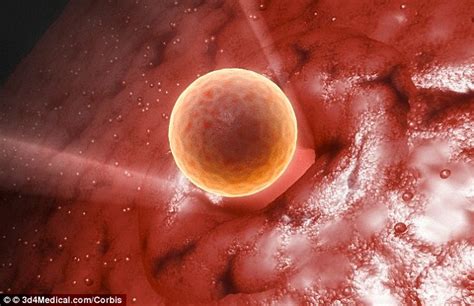 However, throughout her life, a woman loses eggs through a destructive process called atresia. Number of women having egg supply test soars by 200% in a ...