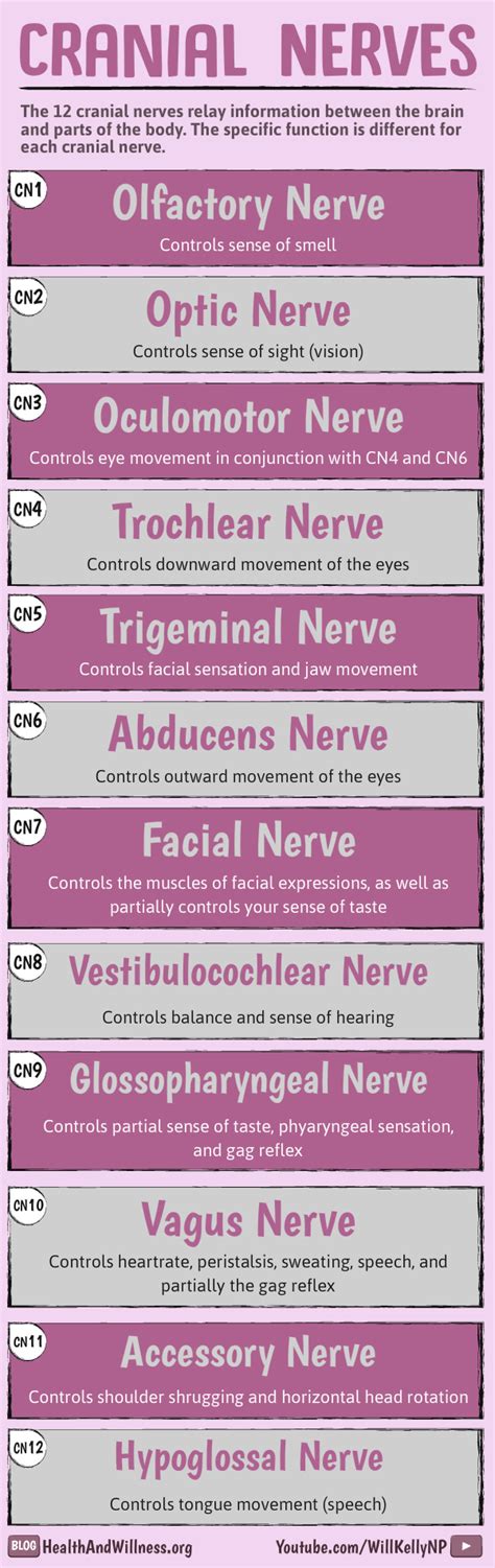 Cranial Nerves Assessment Chart