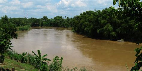 Pencemaran dan tingkat pencemaran yang telah terjadi. Mencari Solusi Terbaik untuk Mengatasi Pencemaran Sungai ...