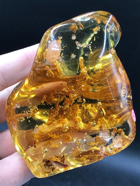 Bid Now Amber Fossil Natural Collectible Specimen November 2