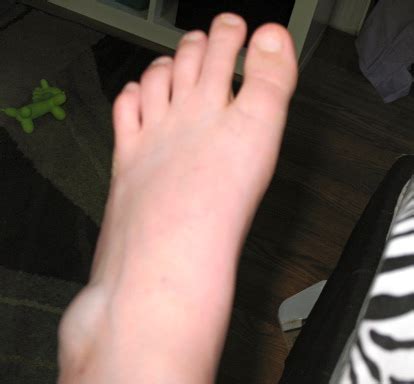 Anyone know what this could be? June 2013Mskcpotter: June 2013