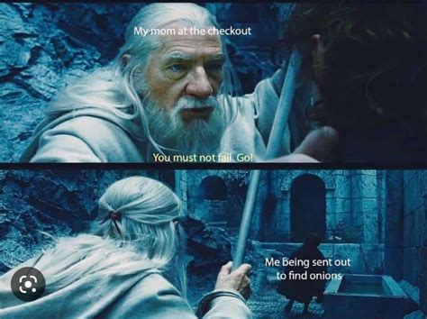 The Best Gandalf Memes Memedroid